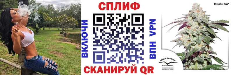 Продажа наркотиков Каменногорск Галлюциногенные грибы  АМФЕТАМИН  COCAIN  Меф  А ПВП 