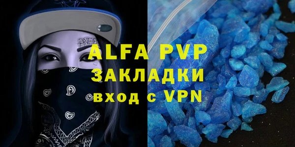 ПСИЛОЦИБИНОВЫЕ ГРИБЫ Инта