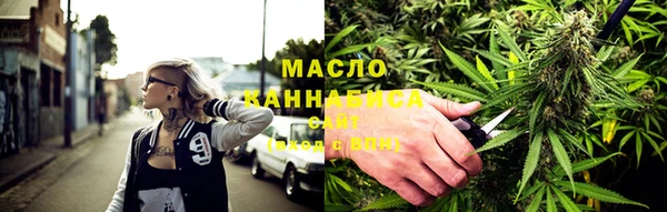 молекула духа Лабытнанги