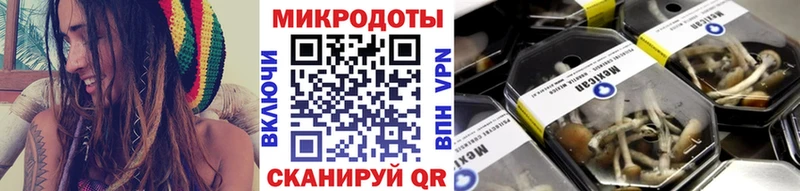 мориарти какой сайт  mega   Каменногорск  Галлюциногенные грибы MAGIC MUSHROOMS 