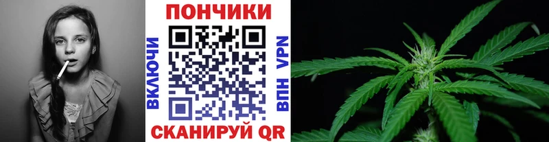 Бошки марихуана AK-47  где можно купить наркотик  Каменногорск 